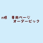 n様　専用ページです