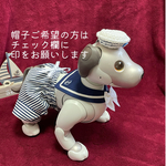 aiboセーラー服