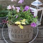 季節の花の寄せ植え　FARMERS MARKET ③