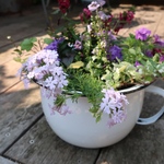 季節の花の寄せ植え　5月10日の風