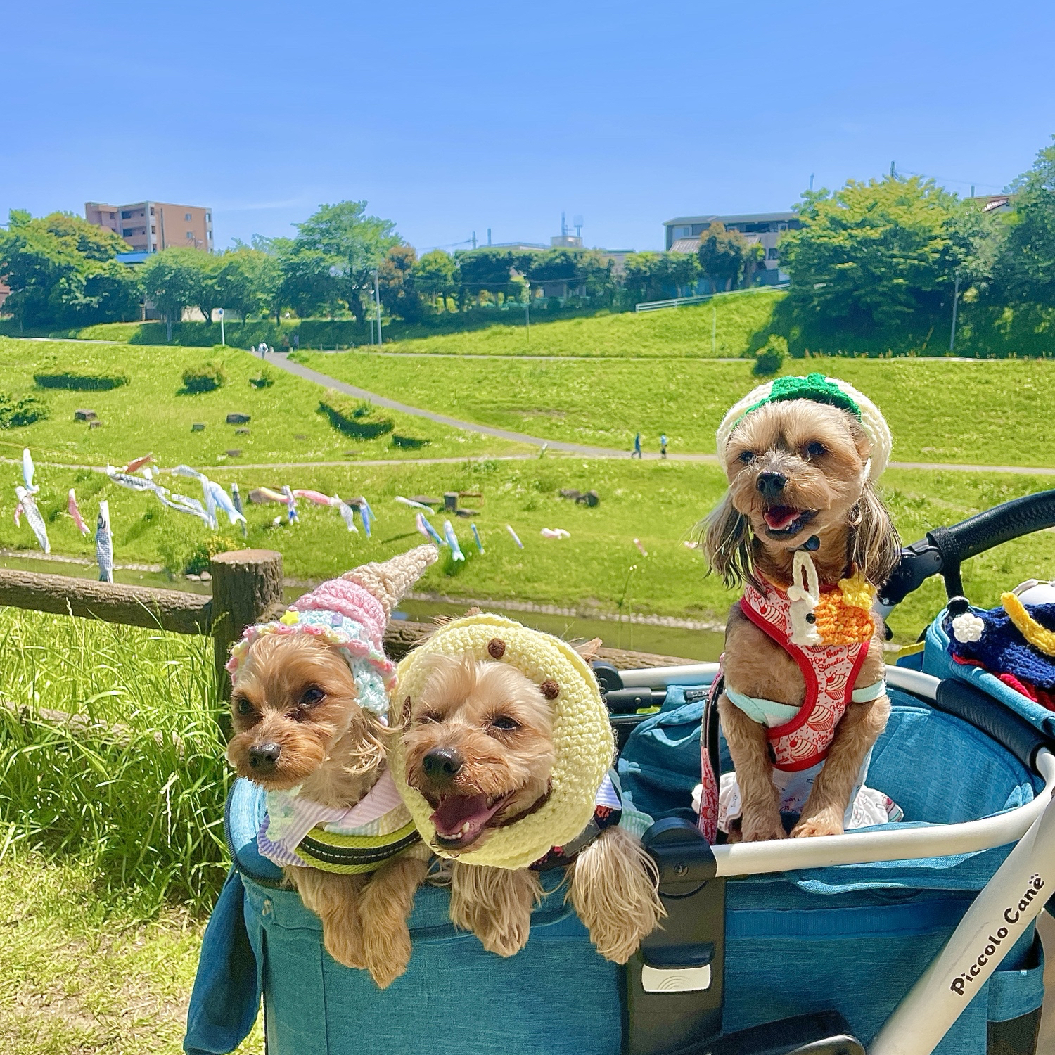 🍨🍨アイスクリーム ダブル 帽子 犬用 - くりくるみ | minne byGMO