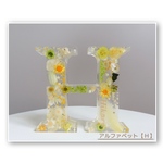  ＊送料無料＊Pink(ピンク)✿イニシャルオブジェ✿ハーバリウム/アルファベット/プリザーブドフラワー/ドライフラワー/置物/結婚祝い/ウェルカムボード/イベント/母の日/ピンク【受注制作】