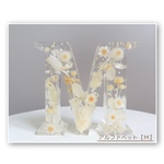 ＊送料無料＊アルファベットＭ イニシャルオブジェ《名入れ・背景カラー入れ可能》- ハーバリウム - 【受注製作】