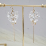 Clear fleur ⸝⋆