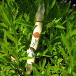 ワンド　　　青い蝶とクリスタルの杖