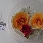 ドライフラワー 薔薇 ⑥