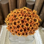 向日葵🌻カラースターフラワーブロッサムアレンジ加工小分け❣️ハンドメイド花材カラードライフラワー