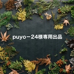 puyo-24様専用出品