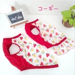 コーギー　スイカ🍉メッシュタンク　／犬服　メッシュ　夏服 