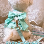 【在庫限り】Mサイズ💐Princessdogdress💐ティファニーブルーカラー可愛いお散歩セット　マジックテープ　リボン付きリードセット