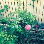 M's様オーダー専用カートです❣️セーラー服　犬服　猫服　春夏服　