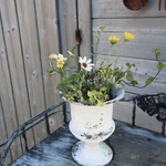 季節の花の寄せ植え　カップに咲く花