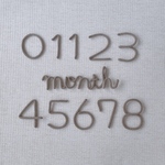 ウールレター　月齢フォトset 数字　month セット品特別価格