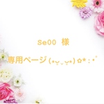 Se00様 専用ページ(⁎ᴗ͈ˬᴗ͈⁎)✿*:･ﾟ