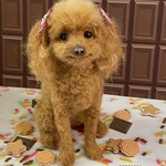 coco＊coconut様専用ページ