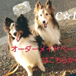 《オーダーメイド専用ページ》編みぐるみストラップ