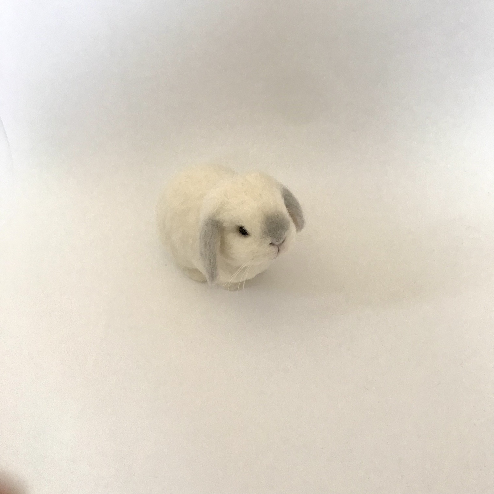 作家様 羊毛フェルトのうさぎ ロップイヤー ホーランドロップ