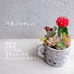 完成品♡即日発送可🆕1点もの♡ホワイトアッシュ♡うさぎづくし③🐇めちゃ可愛い寄せ植え🍓