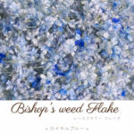 レースフラワーフレーク ︎✿ ドライフラワー « ロイヤルブルー »