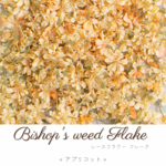 レースフラワーフレーク ︎✿ ドライフラワー « アプリコット »