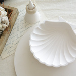 shell tray 1