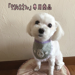 犬用スタイ・お名前スタイ