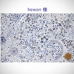 ◆hewon様 オーダーページ◆