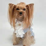 犬服オーダー★フリルカラー付きノースリーブタキシード★