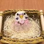 aya227さま専用♡オシャレ⭐︎セキセイインコちゃん キーホルダー（ピンク）