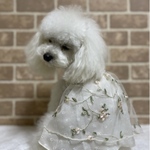 犬服　レースのプチドレス　オーダー