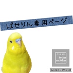 オーダー専用ページ