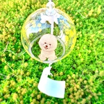 風鈴で涼しく🎐ビションフリーゼちゃんとミモザ柄🐾