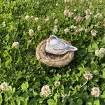 桜文鳥　文鳥にぎにぎ　フラットぬいぐるみ　