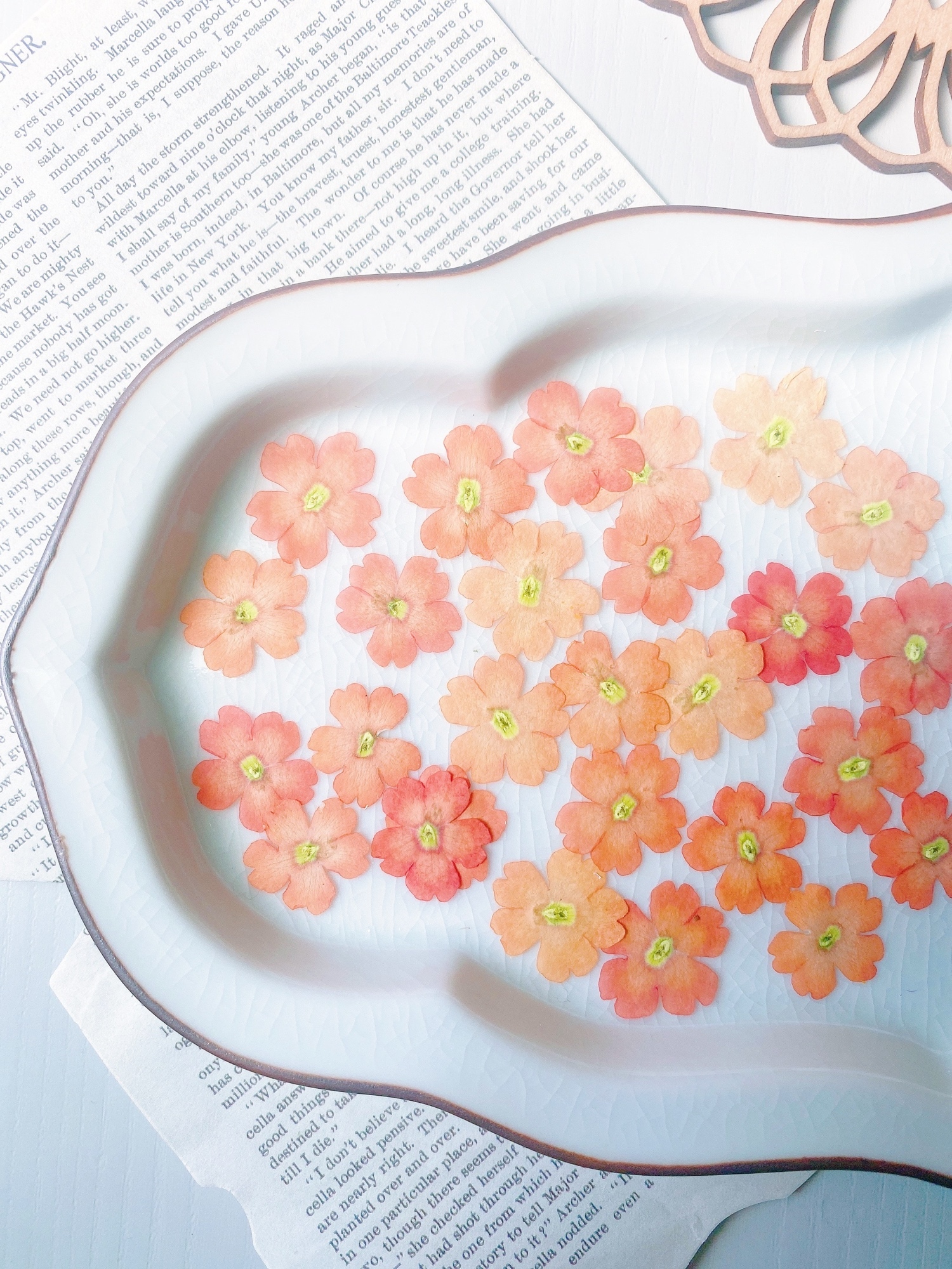 マトリカリア＊ダブルラテ♪アレンジ＊押し花染花＊ドライ花材にも♡ マトリカリア＊ダブルラテ♪アレンジ＊押し花染花＊ドライ花材にも