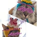 再販】カエルセット.梅雨.6月.ニット帽.猫.被り物.コスプレ.毛糸