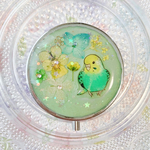 手描き一点モノ♡セキセイインコの小物ケース　ノーマル