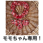モモちゃん専用！