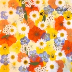 ♡new♡作家様必見♡押し花MIXセット♡押し花セット