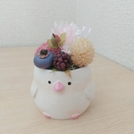 〈プリザーブドフラワー〉文鳥