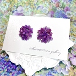 ❣️Thanks100❣️［再販5］紫陽花　ドームピアス／樹脂ピアス／イヤリング〜赤紫燃ゆ〜　紫陽花　紫陽花ピアス