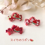 No.519 スイカのリボン🍉