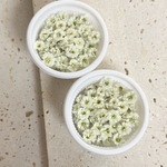 ドライフラワー かすみ草 White ②