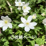ブックカバーダマスク柄2点