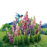 ポップアップグリーティングカード　Lupine Hummingbird