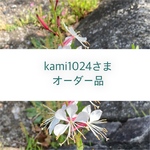kami1024さまオーダー品