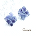 パープルcolor  紫陽花 の イヤリング