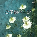 rqn6qb様専用ページ　手刺繍🪡ニゲラ🍀ポーチ、ブルー２点