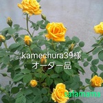 kamechura39様オーダー品