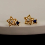 ピアス ブルークリスタル スター 星 花 青 スターリングシルバー925 金属アレルギー対応 レディース スタッドピアス