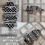 イタグレ　イタグレ服　イタグレの服